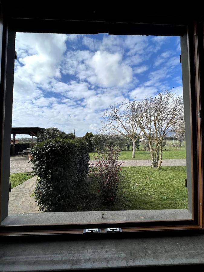 Ferienwohnung Loc.Cioccaie Grosseto Exterior foto