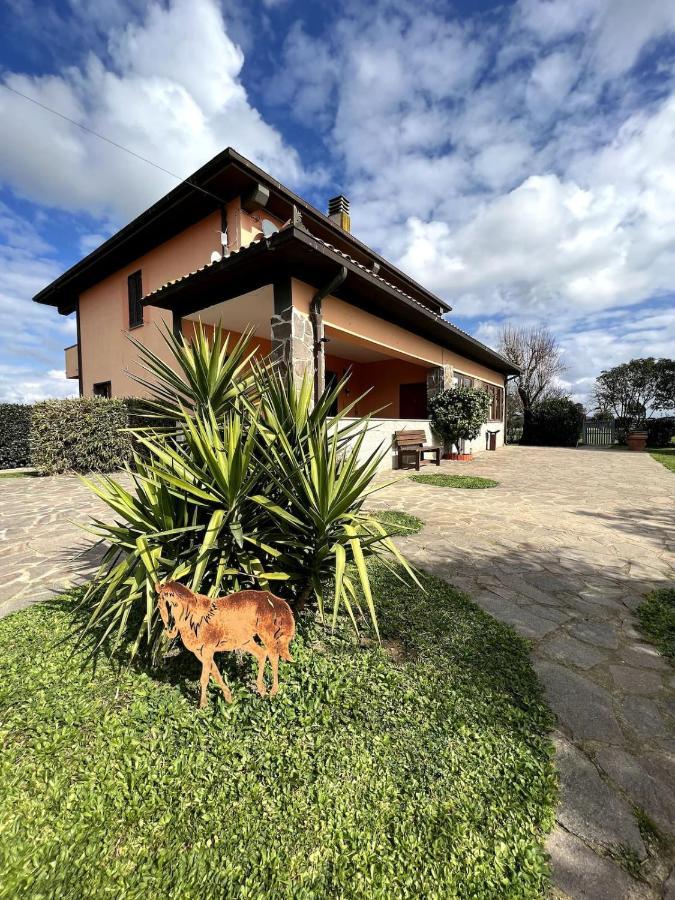 Ferienwohnung Loc.Cioccaie Grosseto Exterior foto